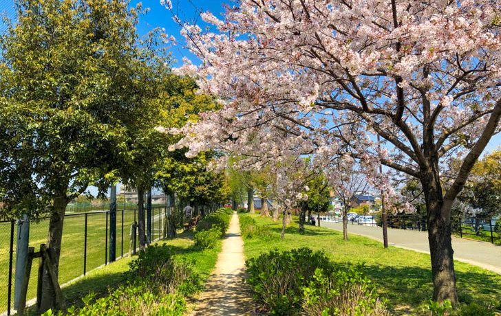 コート脇の小道