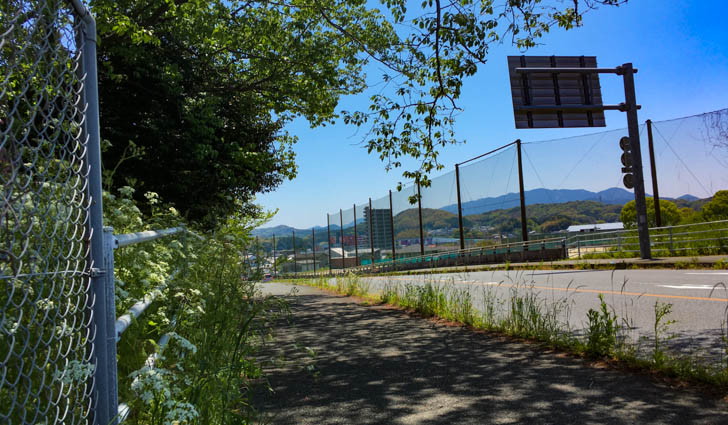 木陰が良い感じに夏っぽい歩道