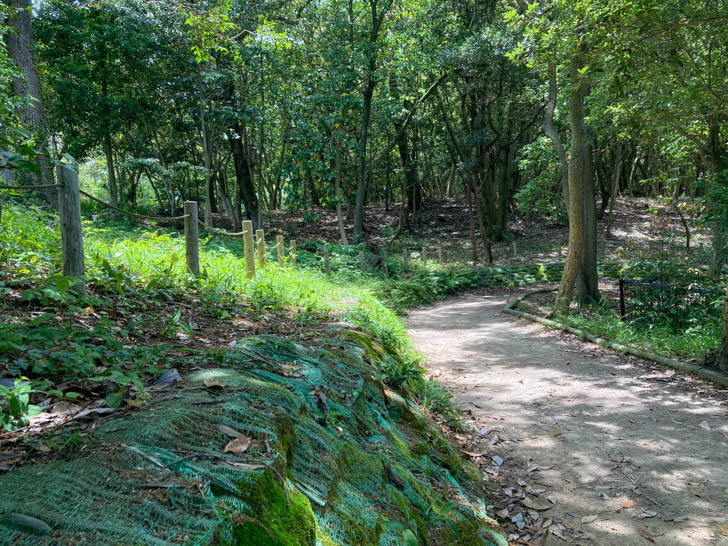 緑地は本当に緑が多く、夏でもそこそこ涼しい