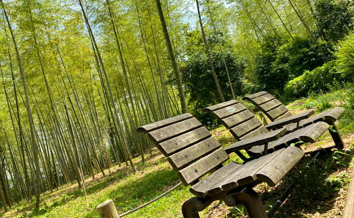 竹林エリアのベンチで休息
