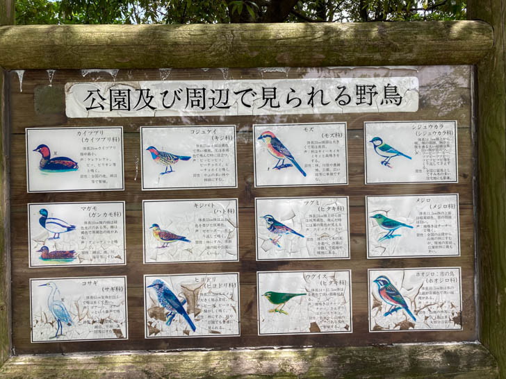 野鳥の説明板