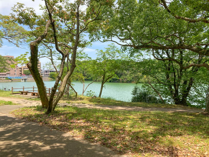 池をゆったり眺められる