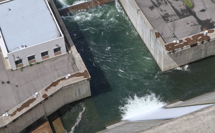 でも、この放水を近距離で見れたら最高だと思う
