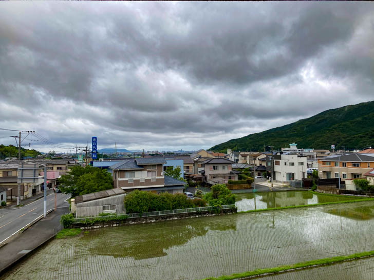 水田と戸建て住宅
