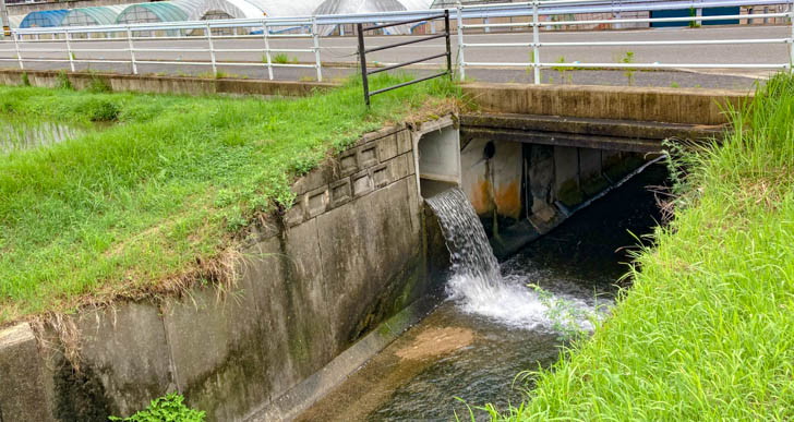 水田から排水される水の音が心地良い