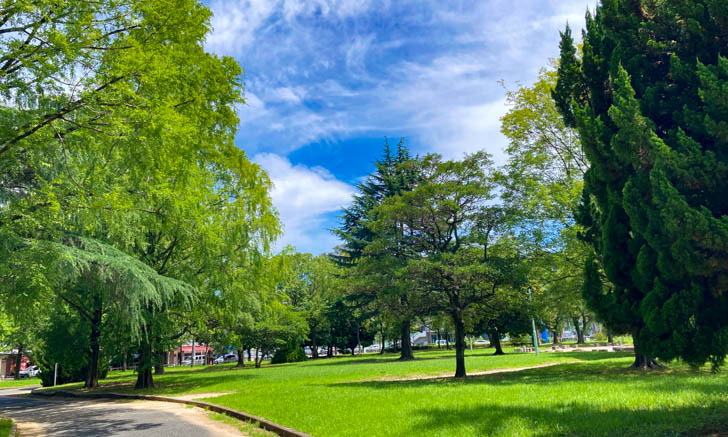 芝生が本当に気持ち良い