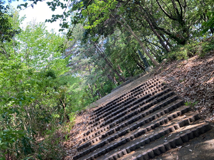 頂上付近の階段