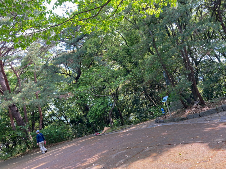「荒津山の頂」に到着