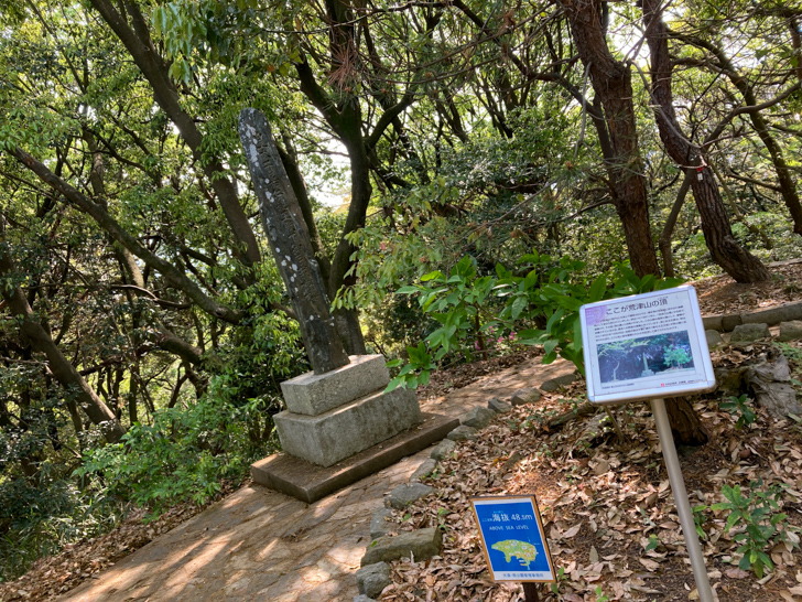 奥の方には石碑がある