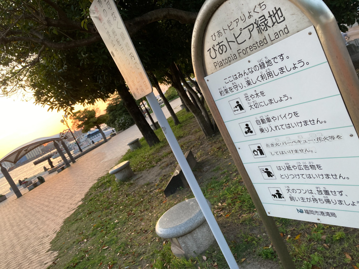 ぴあトピア緑地