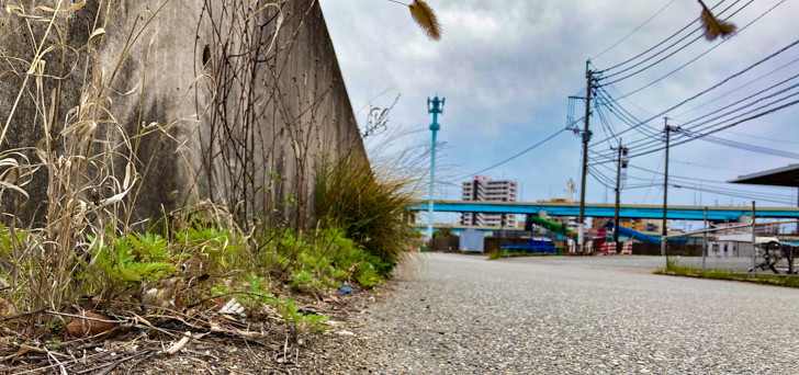 雑草と高架線