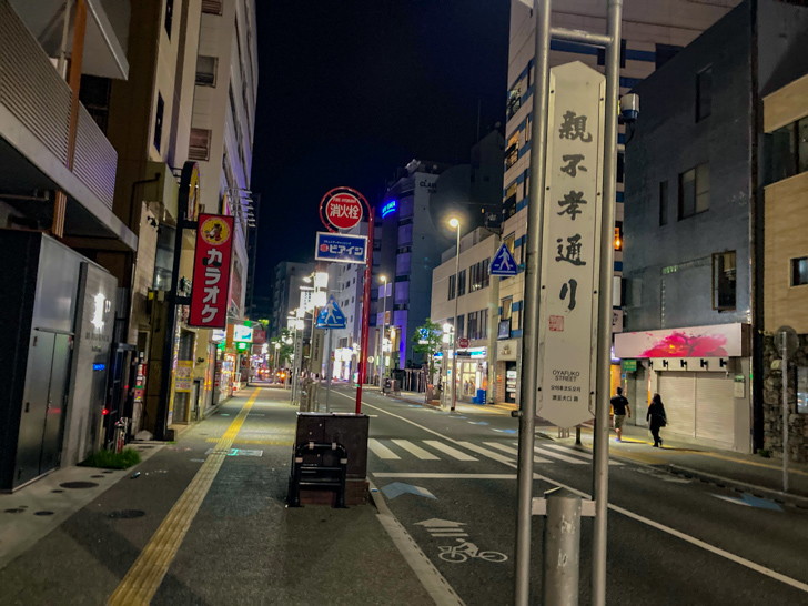 カラオケ／バー／ラウンジ的な“夜の店”が立ち並んでいる