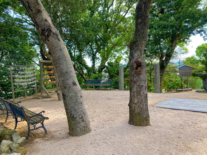 おみくじや絵馬をかけるところ