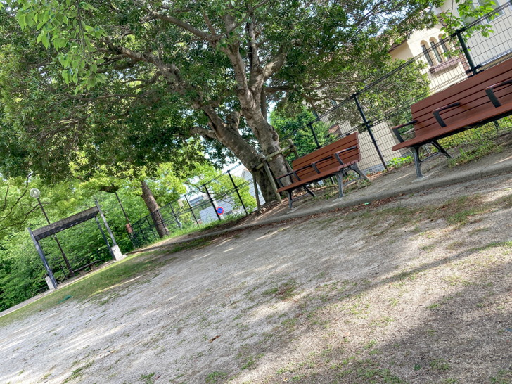 キレイなベンチ