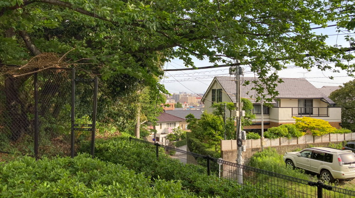 木々の隙間から街を見下ろせる