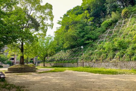 【高宮・大池・多賀】「上水公園」夜景が見える高台の公園で一休み