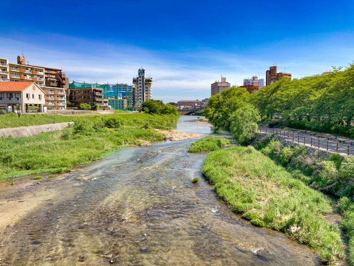 那珂川を見渡せる（こっちは東側）