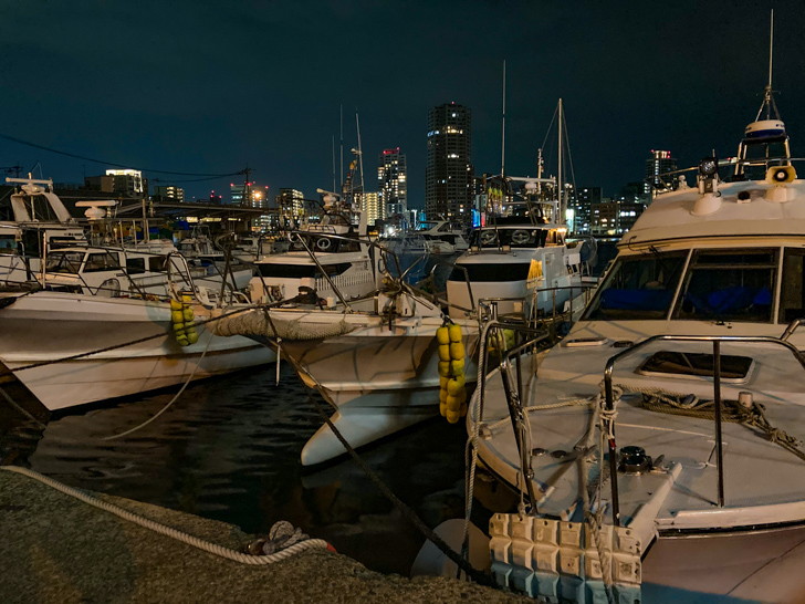 船の先にある高級マンション群が美しい