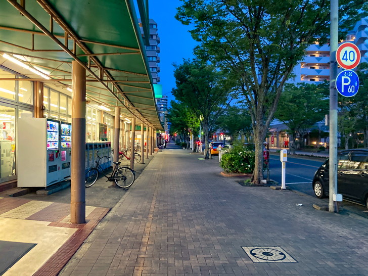 【長住4丁目】団地と、商店が立ち並ぶ落ち着いた通り【散歩レポート】 「サニー 長住店」前の並木道