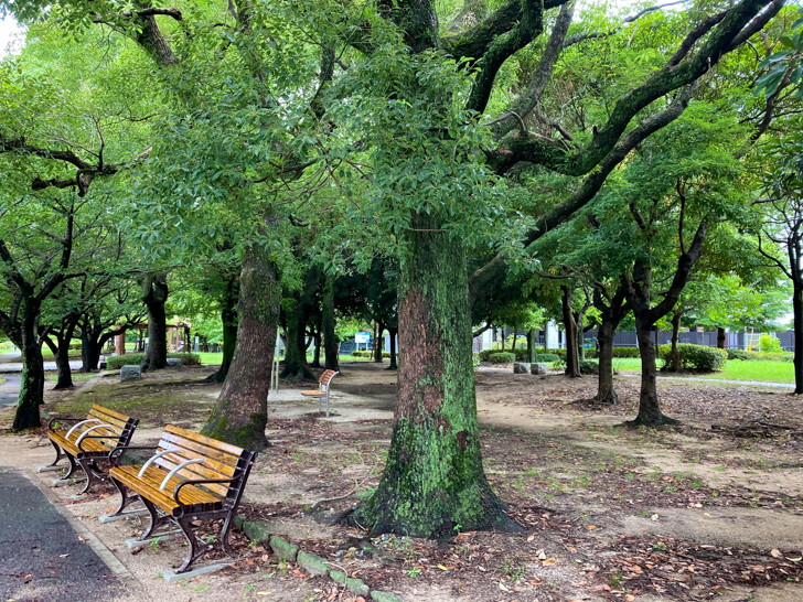 【南区】「那珂川河畔公園」那珂川の濁流を楽しんできた 進むにつれ緑が増えていく