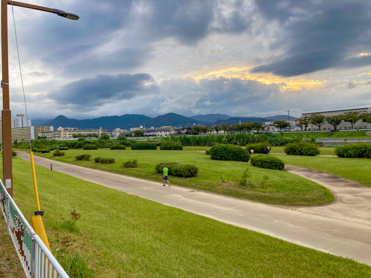 【早良区】「室見川緑地」解放感抜群の河原を歩く 芝生が生い茂っている