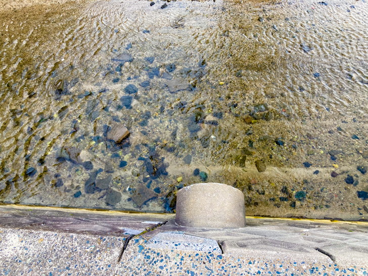 【早良区】「室見川緑地」解放感抜群の河原を歩く 水が澄んでいる