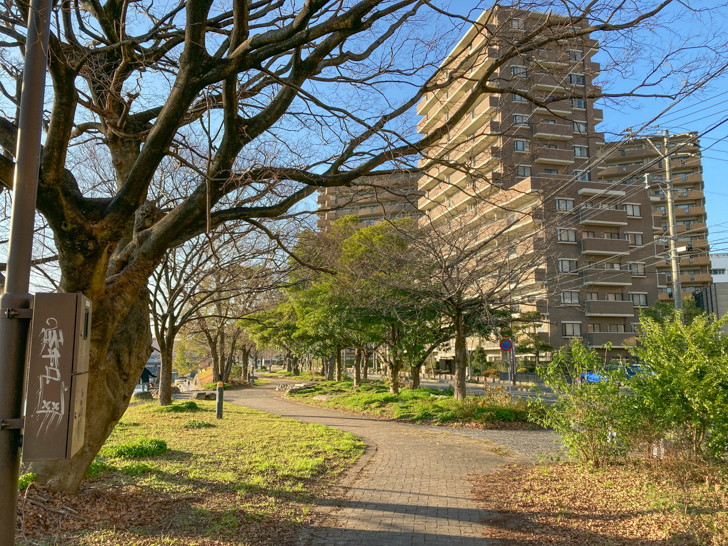 【博多区美野島】「美野島南公園」が最高！川を眺めながらベンチでゆったり 道路側は緑が多い。こっちを歩くのも楽しい