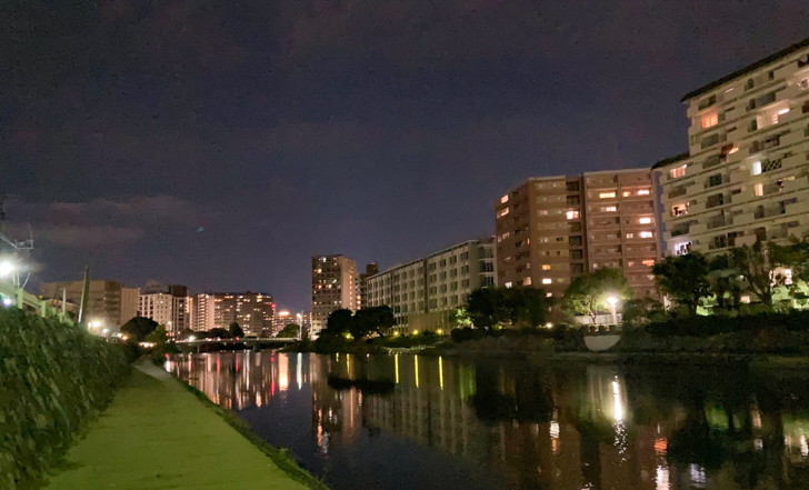 【南区、大楠1丁目／清水2丁目】「みのしまぜき」の川辺の景色が最高だった 遊歩道も長く続いている