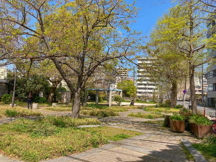 【博多区中洲】「中島公園」サボリーマンの聖地で一休み 中島公園