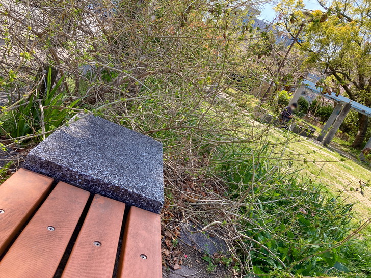 【博多区中洲】「中島公園」サボリーマンの聖地で一休み ベンチ