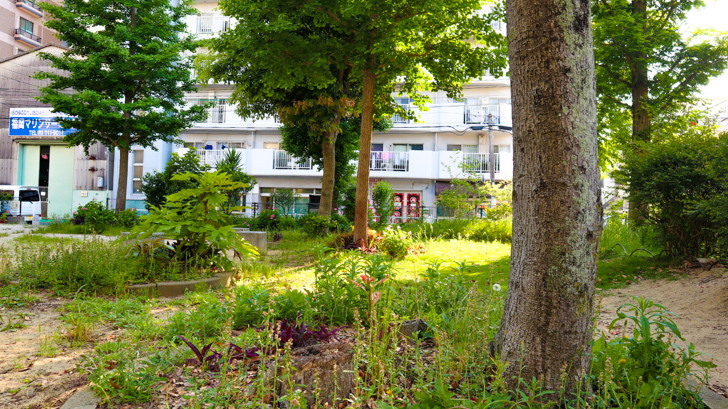 【中央区港】「福崎公園」海の香り漂う、港町の小さな公園 緑地が多い