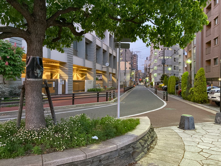 絶景より「日常風景」が好きな３つの理由 ミクロの美しさがある