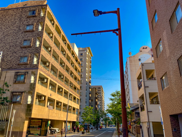 【中央区荒戸２丁目】「西公園さくら参道」風情あふれる並木道 両側にはマンションが立ち並んでいる