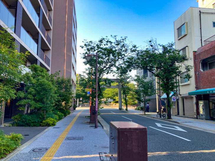 【中央区荒戸２丁目】「西公園さくら参道」風情あふれる並木道 西公園方面に向かって歩く