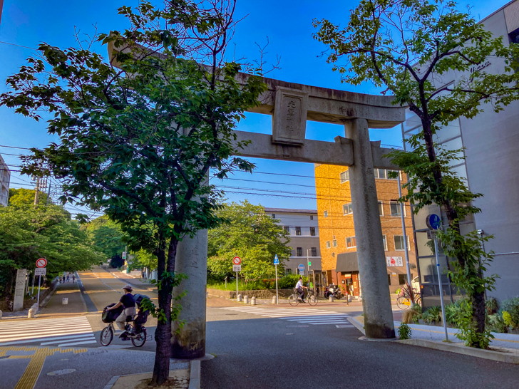 【中央区荒戸２丁目】「西公園さくら参道」風情あふれる並木道 光雲神社の鳥居