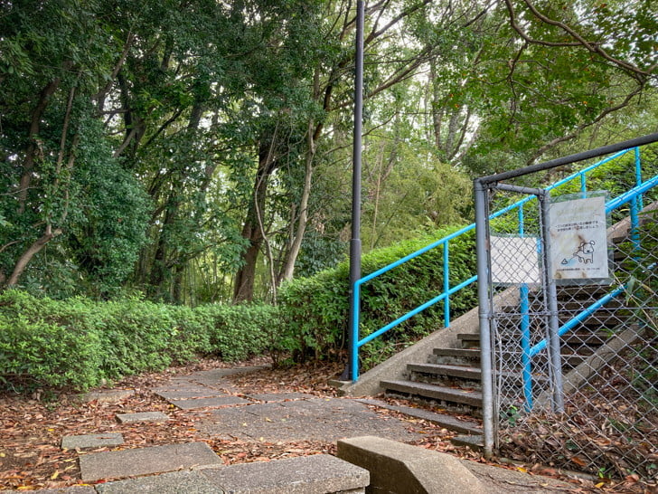 【中央区平尾】「平尾山荘公園」周辺の緑地を探検してきた 森の中。青い手すりが目印