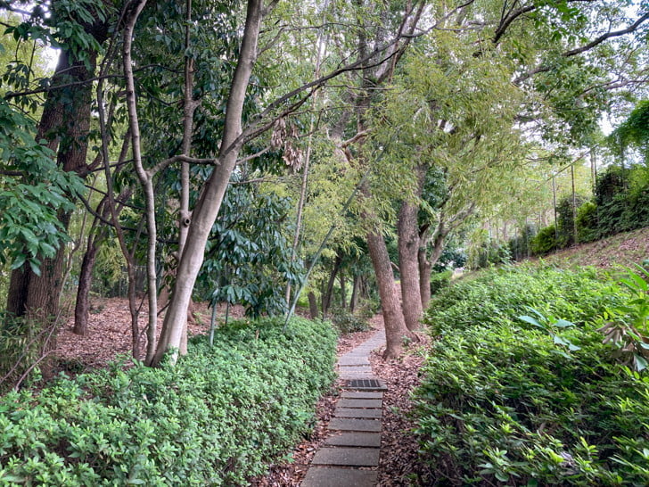 【中央区平尾】「平尾山荘公園」周辺の緑地を探検してきた 緑地の中にある石畳の上を歩く