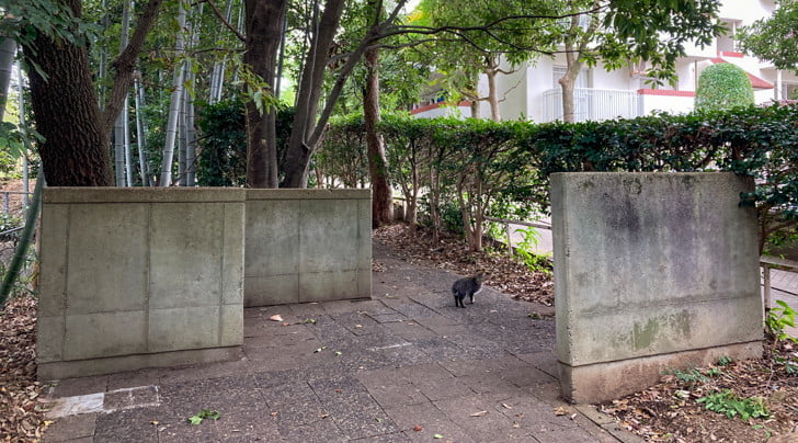 【中央区平尾】「平尾山荘公園」周辺の緑地を探検してきた 少し迷路みたいな形状が面白い