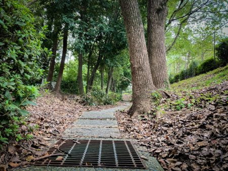 【中央区平尾】「平尾山荘公園」周辺の緑地を探検してきた