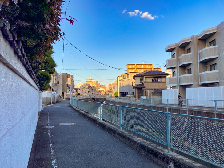 「大楠1丁目」を通る水路に沿って散歩。【扇橋・宮田橋】 水路横の細い道