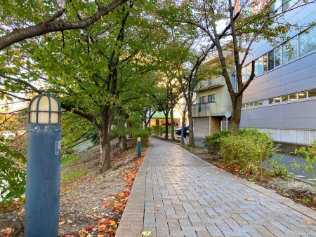 【清水2丁目 part2】「清美大橋」そば、秋風感じる夕方の美野島を散歩