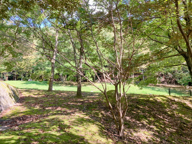 【朝倉郡】「夜須高原 展望広場」を散歩。森の中にある、少し廃墟っぽい展望台 緑が多い