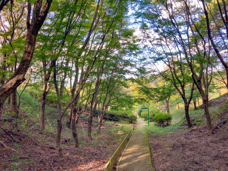 【朝倉郡】「夜須高原記念の森」森の中にある巨大公園 更に奥は、森