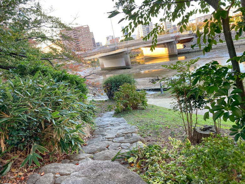 【清水2丁目 part3】もはやジャングル？那珂川沿い、夕方の散歩道。 天神・博多方面から離れると、より緑が強くなる