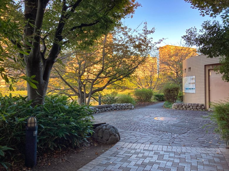 【清水2丁目 part3】もはやジャングル？那珂川沿い、夕方の散歩道。 ちょっと広い休憩スペース