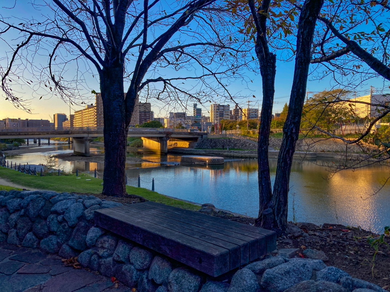 【清水2丁目 part3】もはやジャングル？那珂川沿い、夕方の散歩道。 このベンチは特に絶景