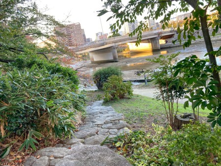 【清水2丁目 part3】もはやジャングル？那珂川沿い、夕方の散歩道。