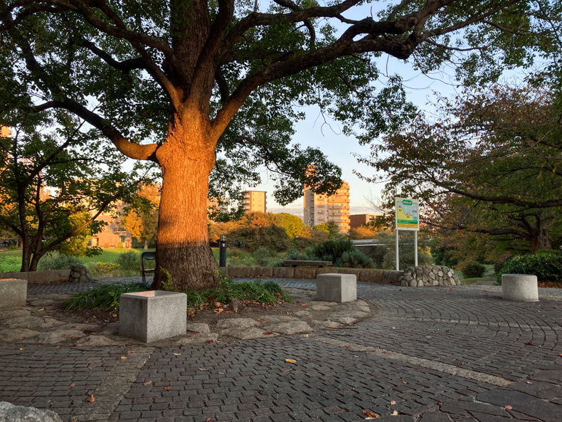 【清水2丁目 part6】「清美大橋」そば、パイプ椅子完備の無名ロケーション 夕暮れ