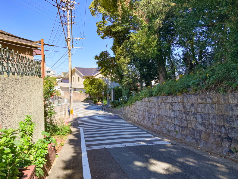 【高宮4丁目】深い緑に癒やされる。高台の住宅街を散歩 「高宮八幡宮横」の坂道