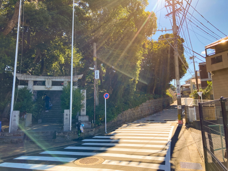 【高宮4丁目】深い緑に癒やされる。高台の住宅街を散歩 高宮八幡宮